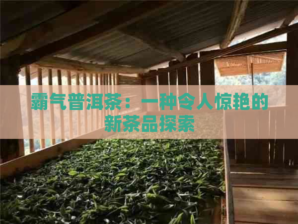 霸气普洱茶：一种令人惊艳的新茶品探索