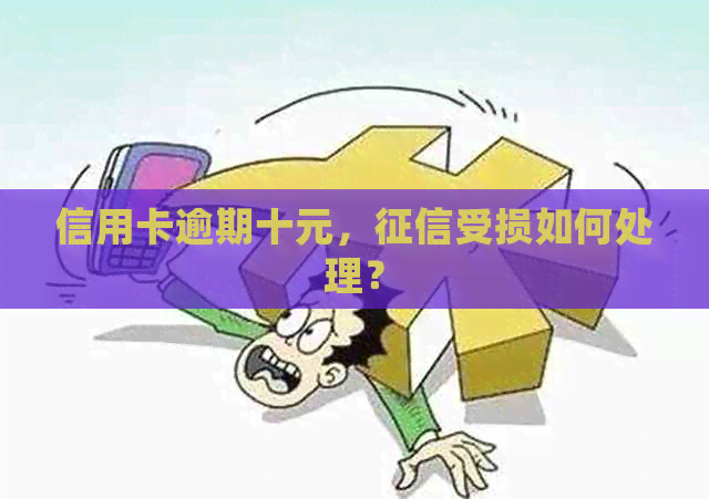 信用卡逾期十元，受损如何处理？