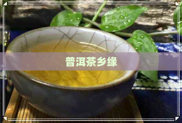 普洱茶乡缘