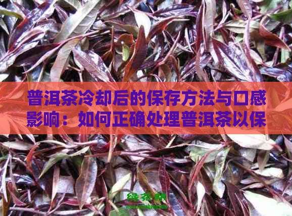 普洱茶冷却后的保存方法与口感影响：如何正确处理普洱茶以保持其风味？