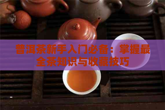 普洱茶新手入门必备：掌握最全茶知识与收藏技巧