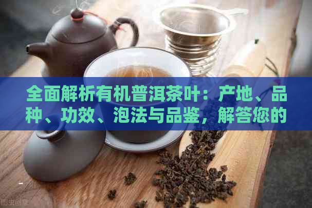 全面解析有机普洱茶叶：产地、品种、功效、泡法与品鉴，解答您的所有疑问