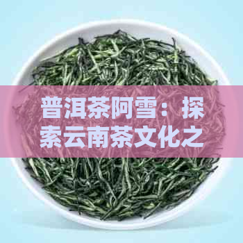 普洱茶阿雪：探索云南茶文化之美