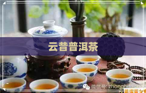 云昔普洱茶