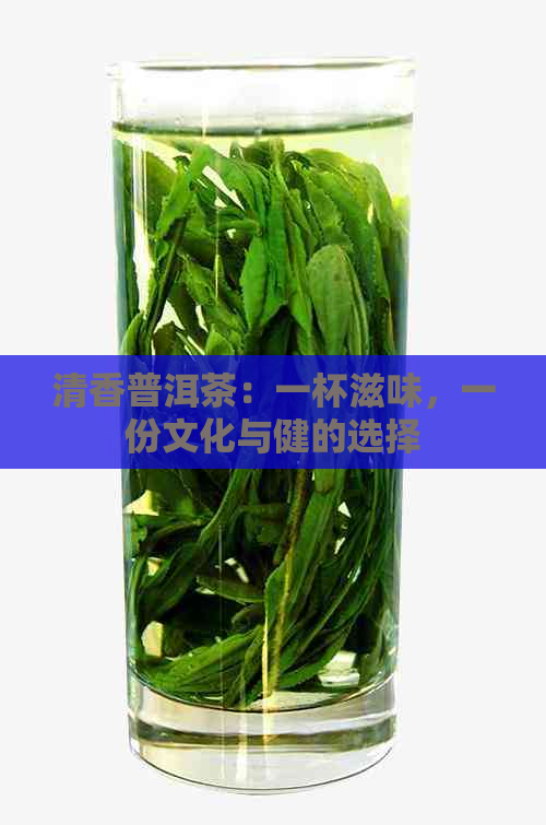 清香普洱茶：一杯滋味，一份文化与健的选择