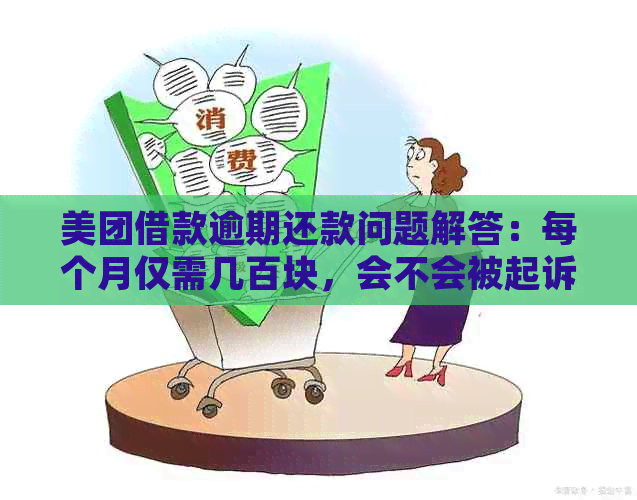 美团借款逾期还款问题解答：每个月仅需几百块，会不会被起诉？