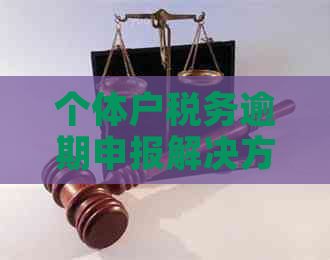 个体户税务逾期申报解决方案及补报操作步骤详解