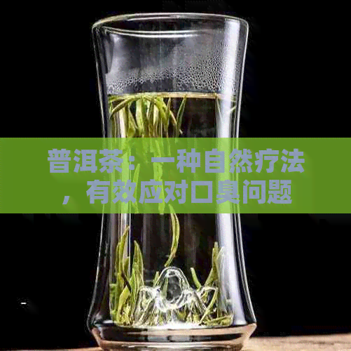 普洱茶：一种自然疗法，有效应对口臭问题