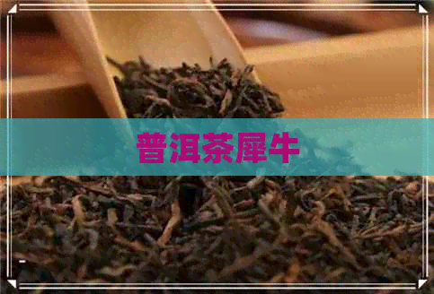 普洱茶犀牛