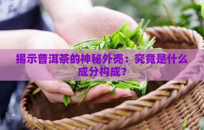 揭示普洱茶的神秘外壳：究竟是什么成分构成？