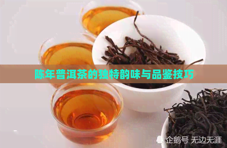 陈年普洱茶的独特韵味与品鉴技巧