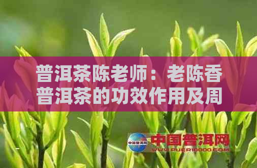 普洱茶陈老师：老陈香普洱茶的功效作用及周老师分享