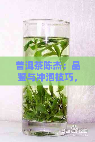 普洱茶陈杰：品鉴与冲泡技巧，了解陈年普洱茶的魅力与风味