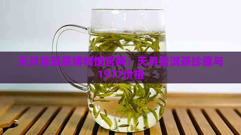 天月普洱茶博物馆官网：天月普洱茶珍藏与1917价格