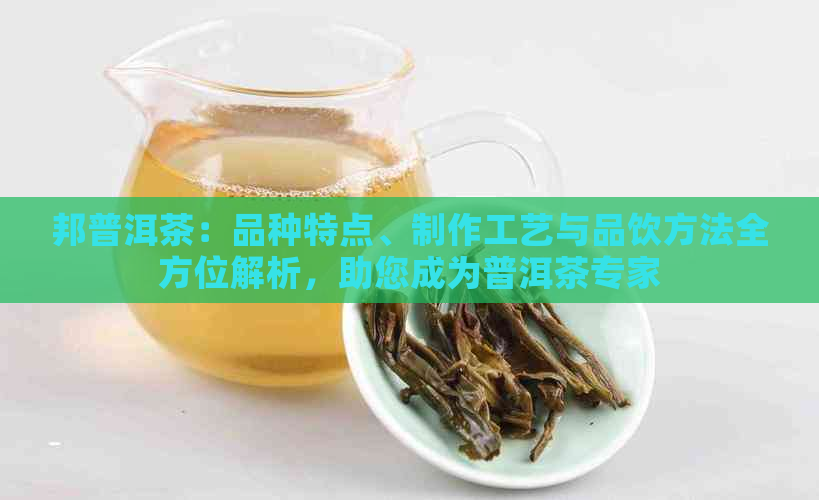 邦普洱茶：品种特点、制作工艺与品饮方法全方位解析，助您成为普洱茶专家