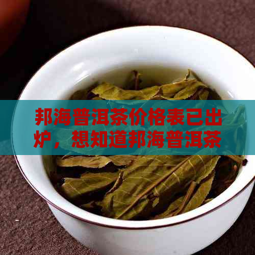 邦海普洱茶价格表已出炉，想知道邦海普洱茶的价格吗？