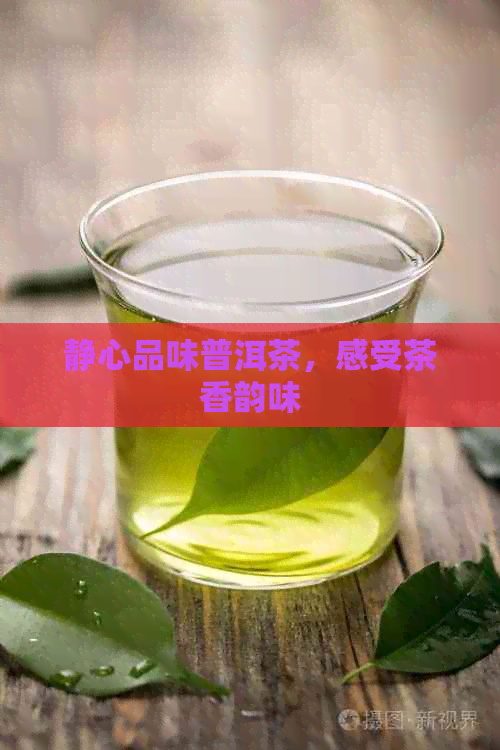 静心品味普洱茶，感受茶香韵味