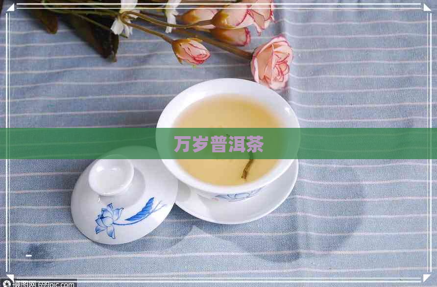 万岁普洱茶