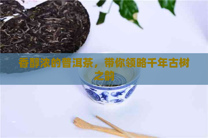 香醇浓的普洱茶，带你领略千年古树之韵