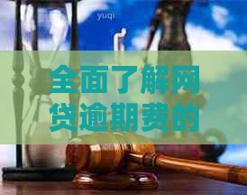 全面了解网贷逾期费的收费标准及其合法性：如何计算、减免及应对措