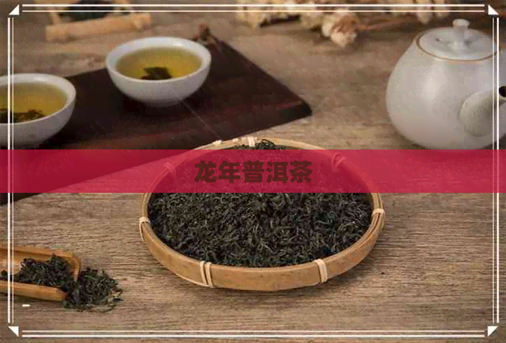 龙年普洱茶