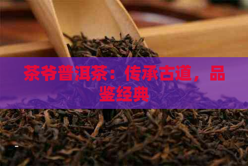 茶爷普洱茶：传承古道，品鉴经典