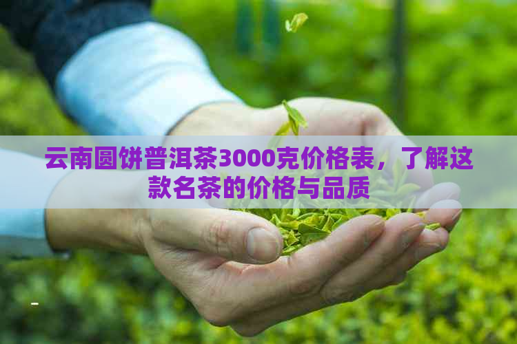 云南圆饼普洱茶3000克价格表，了解这款名茶的价格与品质