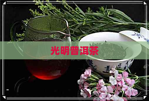 光明普洱茶