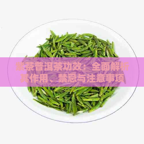 紫茶普洱茶功效：全面解析其作用、禁忌与注意事项