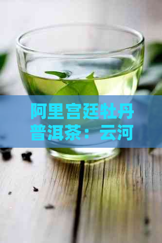 阿里宫廷牡丹普洱茶：云河茶厂的精选珍品