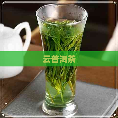 云普洱茶