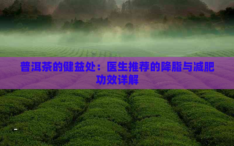 普洱茶的健益处：医生推荐的降脂与减肥功效详解