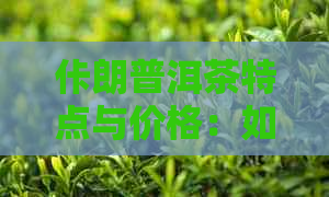 佧朗普洱茶特点与价格：如何选择朗润普洱茶？