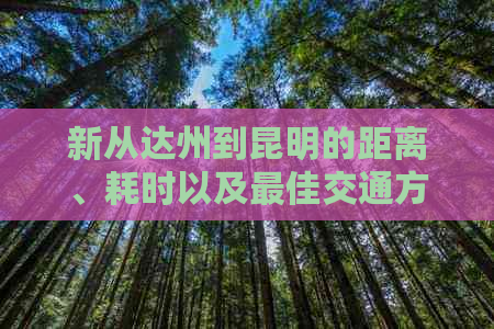 新从达州到昆明的距离、耗时以及更佳交通方式全面解析