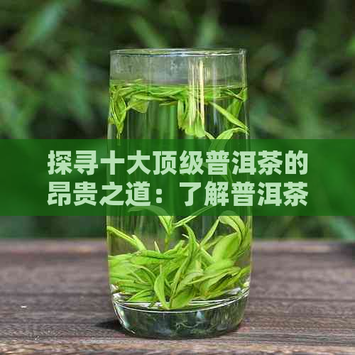 探寻十大顶级普洱茶的昂贵之道：了解普洱茶价格与品质的关系