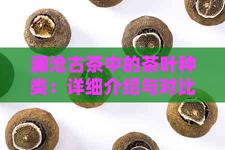 澜沧古茶中的茶叶种类：详细介绍与对比分析