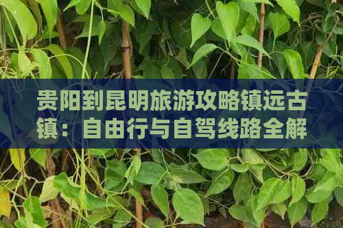 贵阳到昆明旅游攻略镇远古镇：自由行与自驾线路全解析