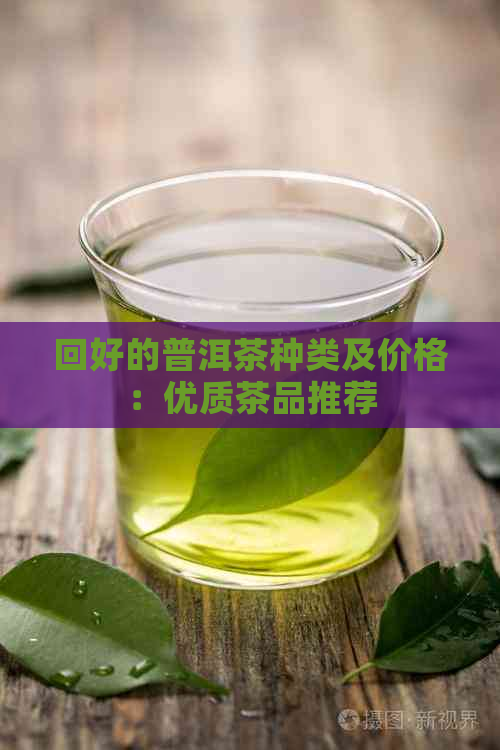 回好的普洱茶种类及价格：优质茶品推荐