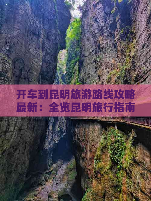 开车到昆明旅游路线攻略最新：全览昆明旅行指南