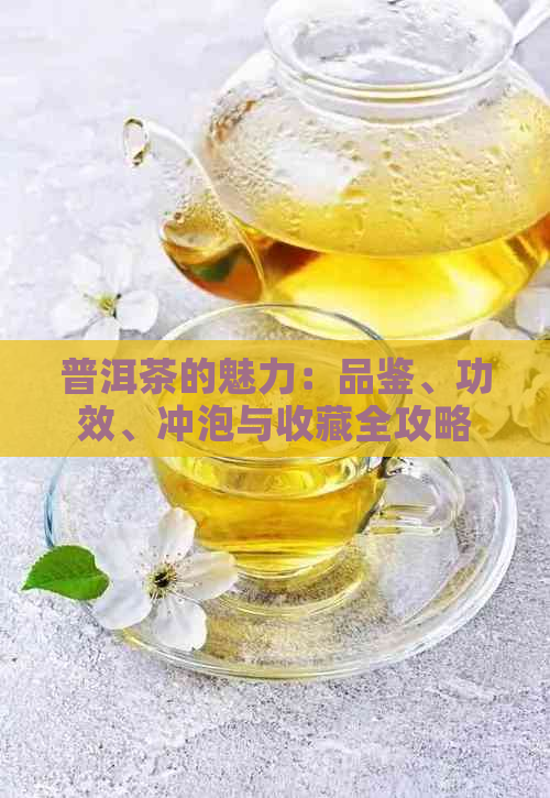 普洱茶的魅力：品鉴、功效、冲泡与收藏全攻略