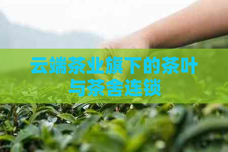 云端茶业旗下的茶叶与茶舍连锁