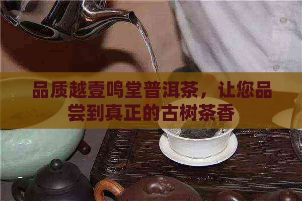 品质越壹鸣堂普洱茶，让您品尝到真正的古树茶香