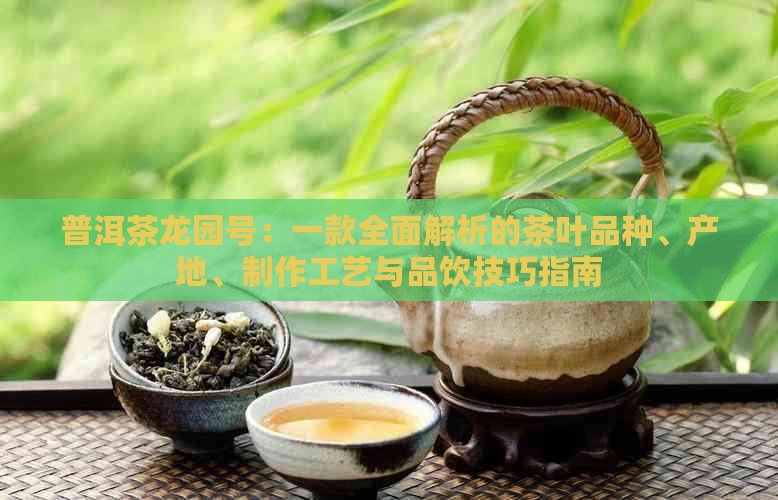 普洱茶龙园号：一款全面解析的茶叶品种、产地、制作工艺与品饮技巧指南