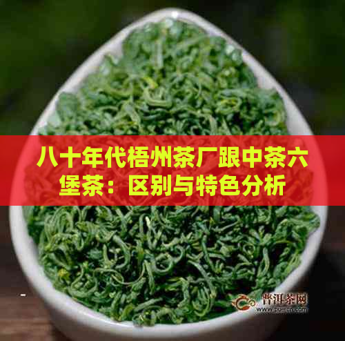 八十年代梧州茶厂跟中茶六堡茶：区别与特色分析