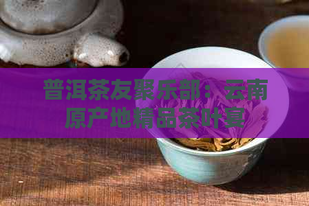 普洱茶友聚乐部：云南原产地精品茶叶宴