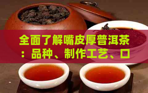 全面了解嘴皮厚普洱茶：品种、制作工艺、口感、功效及泡法的详细解析