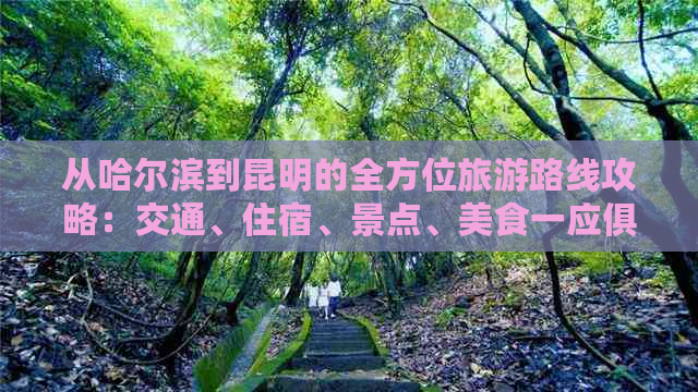 从哈尔滨到昆明的全方位旅游路线攻略：交通、住宿、景点、美食一应俱全