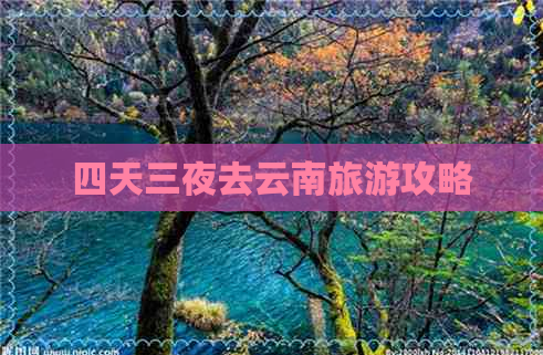 四天三夜去云南旅游攻略