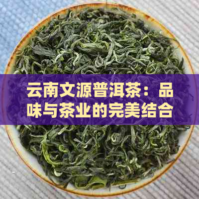 云南文源普洱茶：品味与茶业的完美结合