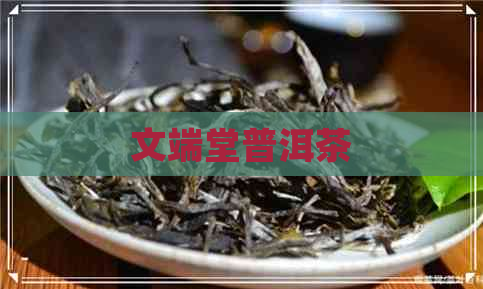 文端堂普洱茶